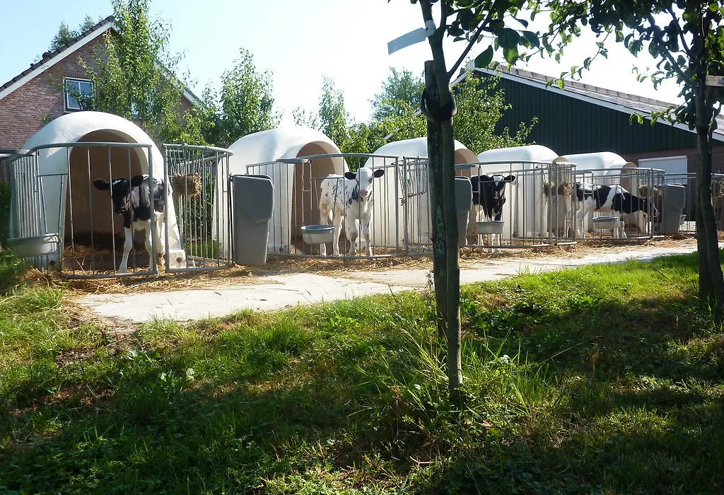 Boerderij De Verwondering-1