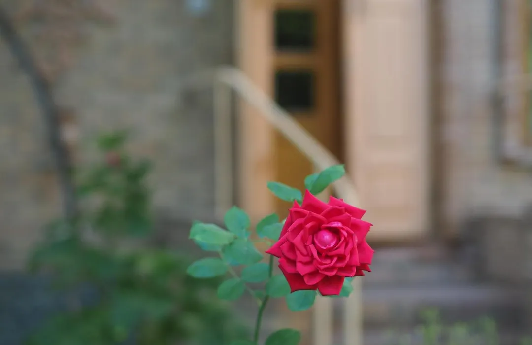 Antica Family Guest House-1