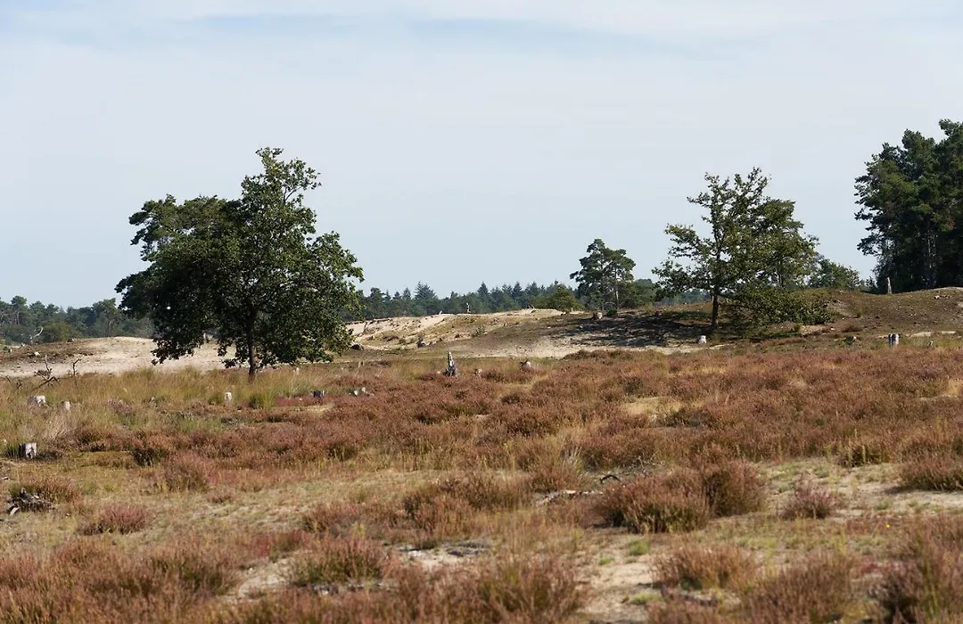 De Stal-1