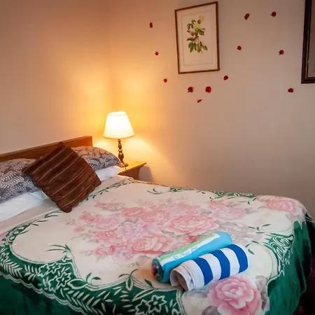 Comfort Inn Hostel In Fraser Valley 2-2