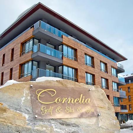 Cornelia Deluxe Residence-2