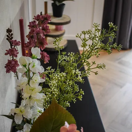 DreamZzz Boutique B&B Kaatsheuvel-3