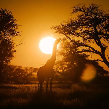 Our Habitas Namibia-2