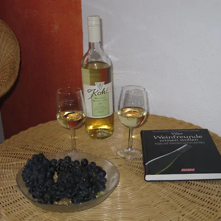 Weingut&Gästehaus Stephan Kohl-2