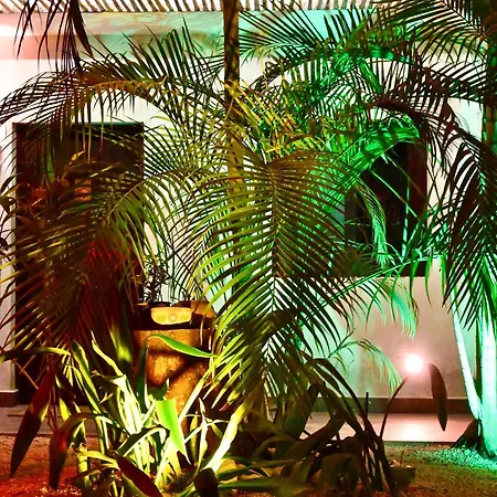 Pacha Tulum Boutique Hotel-2