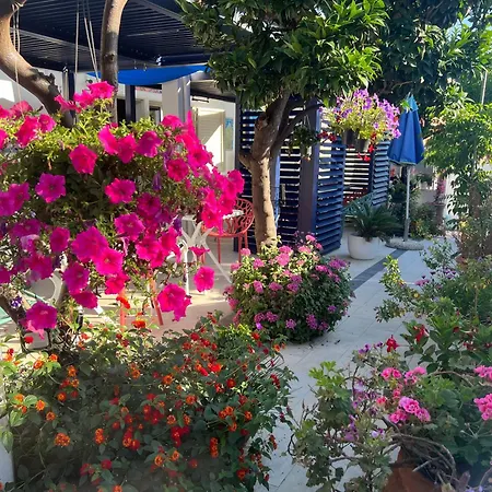 Wonderland-3