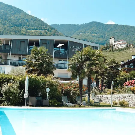 Apparthotel Calma-2