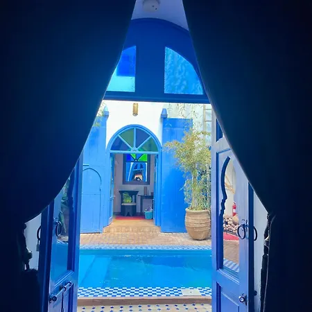 Riad Chameleon-3
