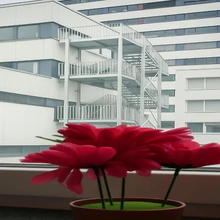 Eva Zimmer Zentral Günstig-2