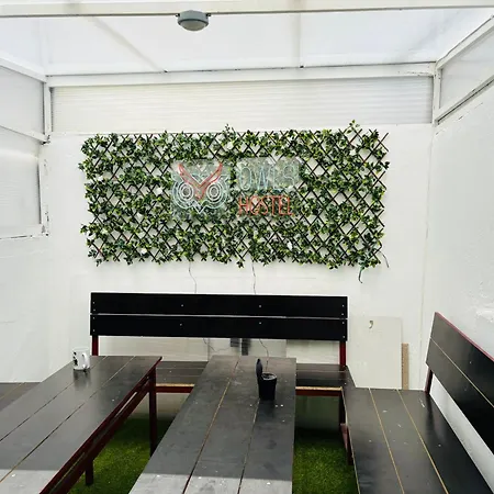 Owls Hostel Ribeiro-2