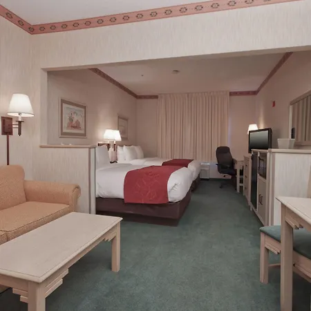 Comfort Suites Peoria Sports Complex-3