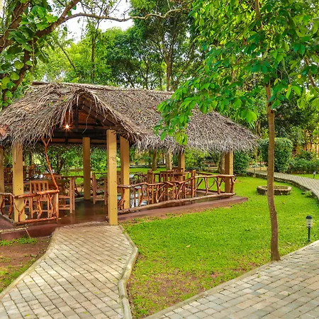 Pelwehera Village Resort-3
