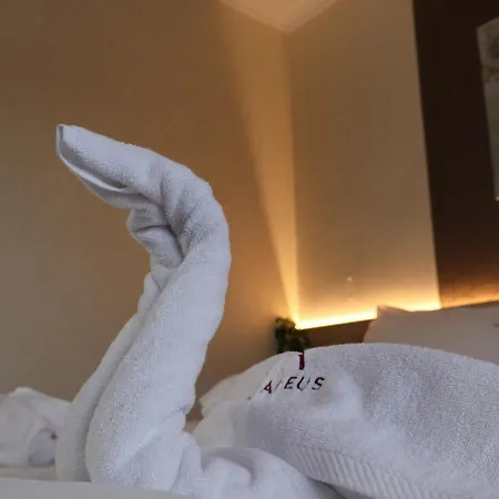 Hotel Amadeus-2