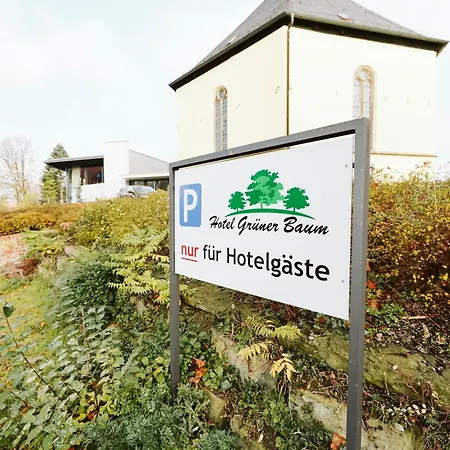Hotel Grüner Baum-2
