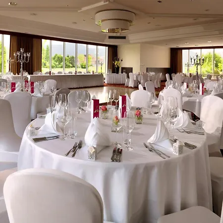 Heidelberg Marriott Hotel-2