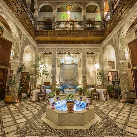 Riad Sara-2