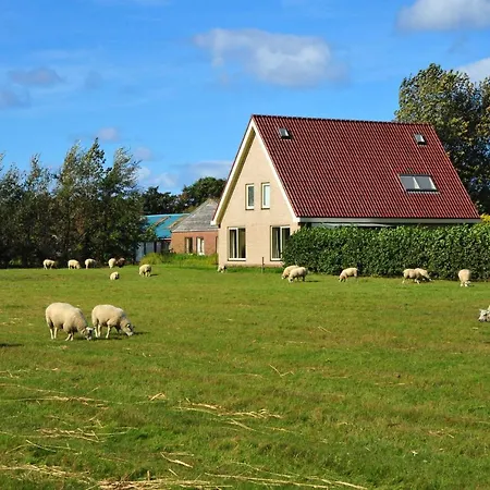 Witte Weelde Texel-3