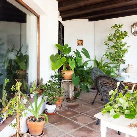 La Mejorana-2