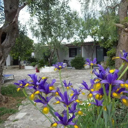 B&B Masseria Liberatore-2
