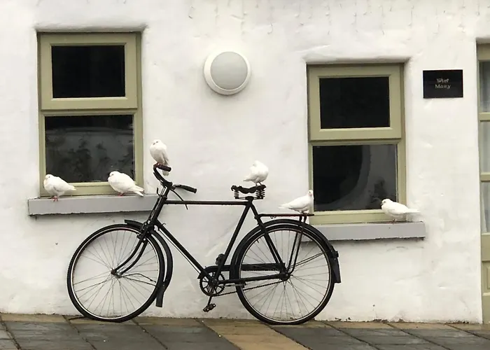 The Carriage Houses At Beechpark House