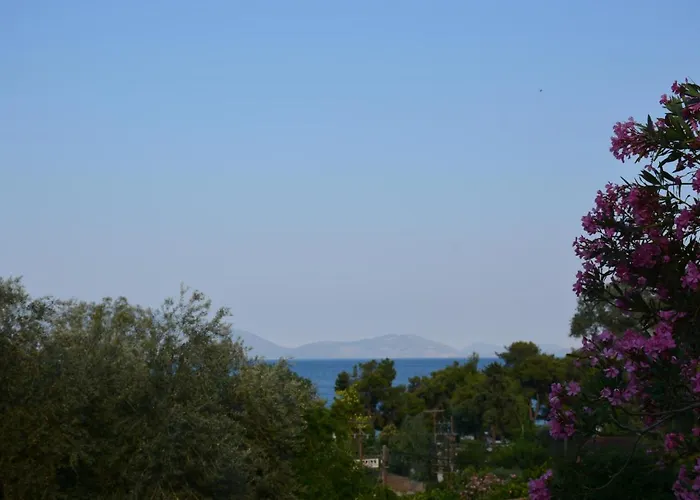 Aristotelis