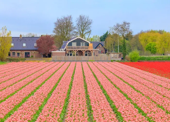 B&B Blossom