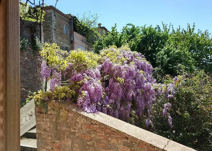 B&B "Le Tre Muse"