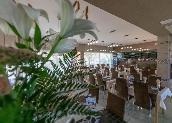 Hotel Vital