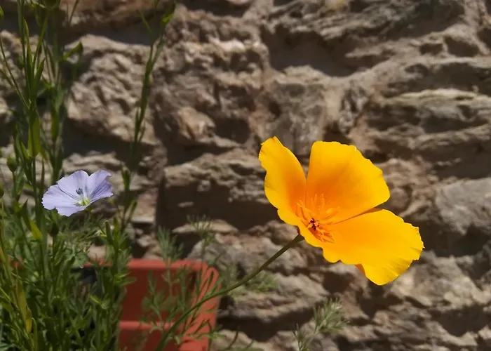 B&B Cedavécia