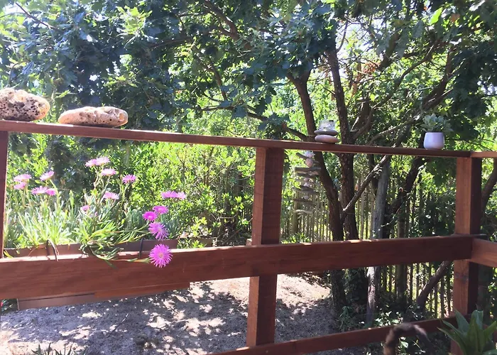 Cabane ZEN OCEAN, les cabanes océanes Montalivet
