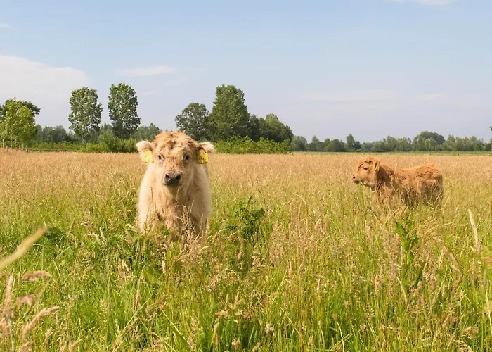 Bed & Breakfast Bos En Weide