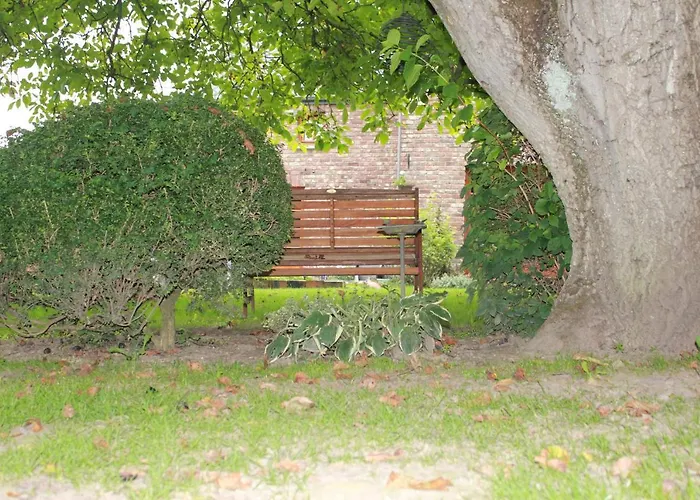 A l'ombre du noyer