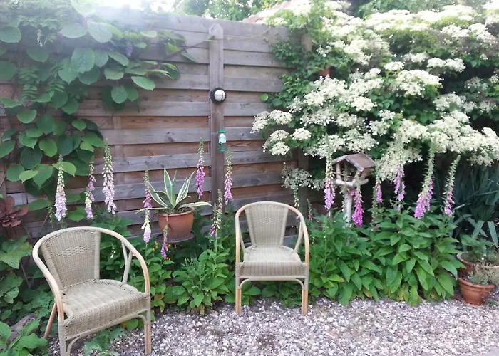 B & B De Pimpelmees