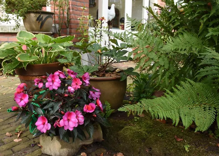 Bed & Breakfast Leonie