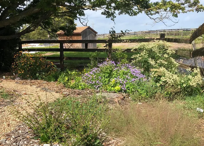 Cider House Bed And Breakfast