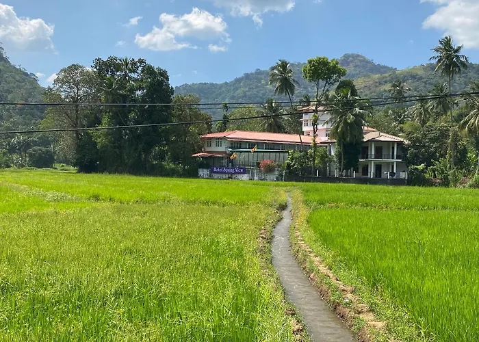 Hotel Spring View