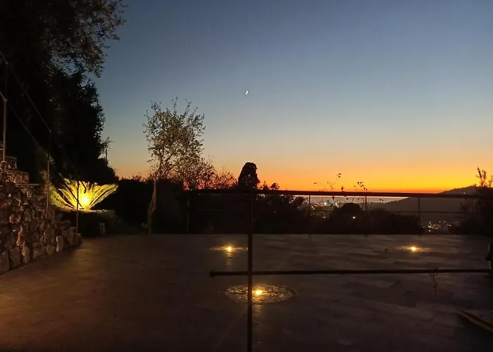 La Gatta Sul Sentiero