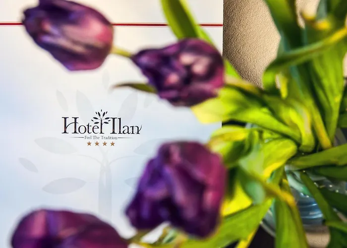 Hotel Ilan
