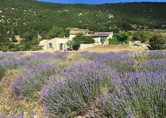Le Jas Du Mont Ventoux
