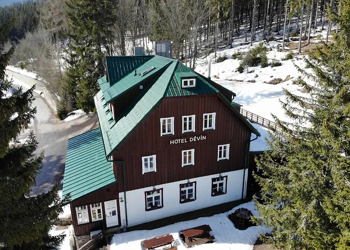 Hotel Devin