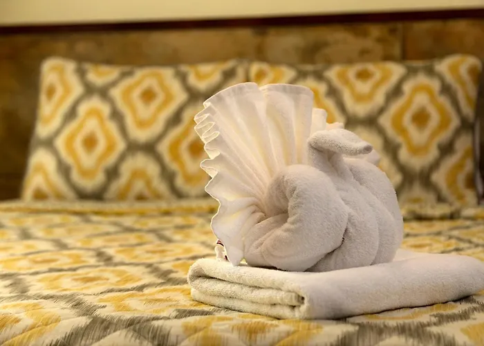 Hotel Amar Inn
