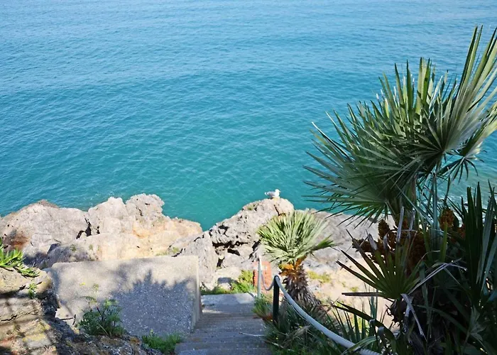 Attico