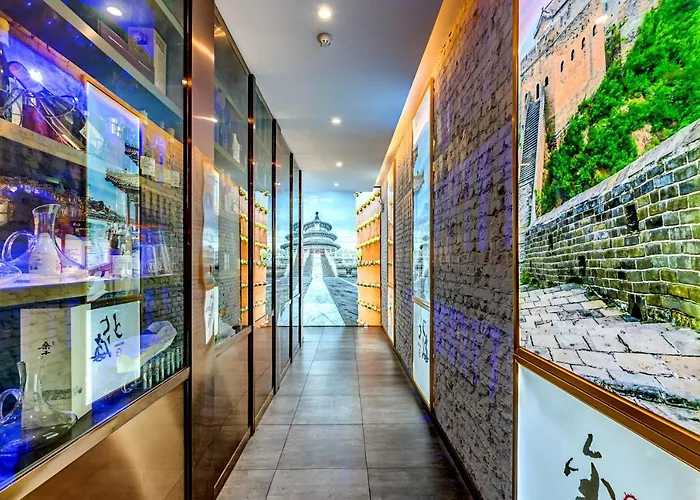 Happy Dragon Saga Hotel: Garden Terrace in City Center