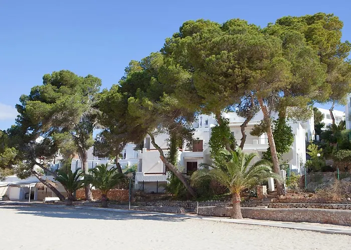 Bungalow Playa D'Or, 2