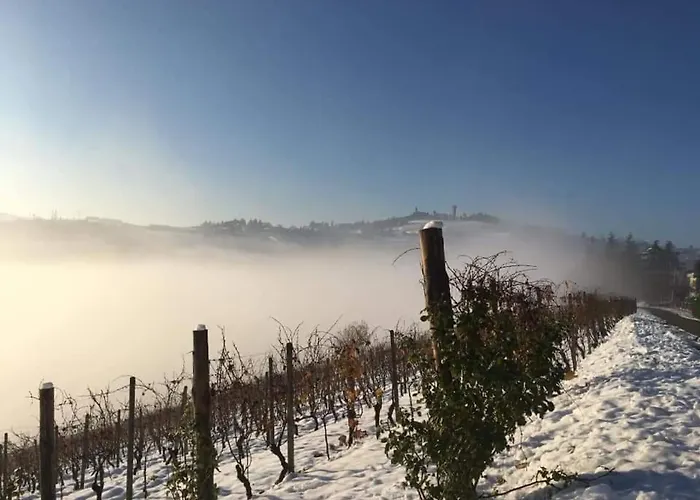 Tenuta Le More