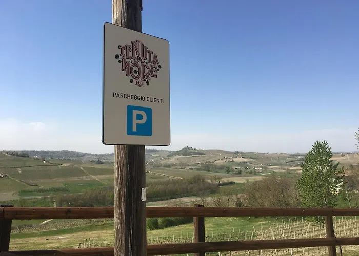 Tenuta Le More