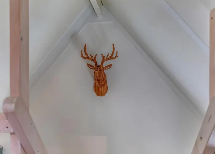 B&B Larenstein logeren in een tiny house