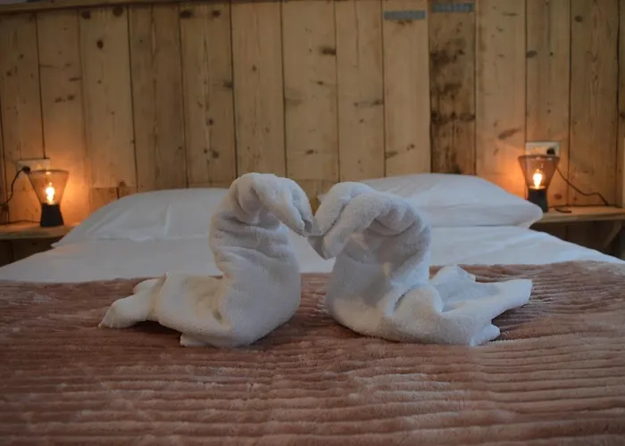 Luxury Spa Hotel - Francofolies