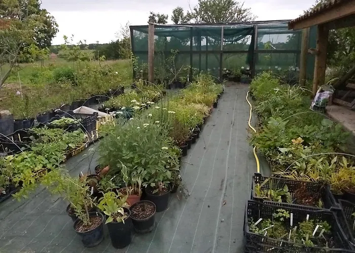 Gite Du Jardin Du Bout Du Ciel