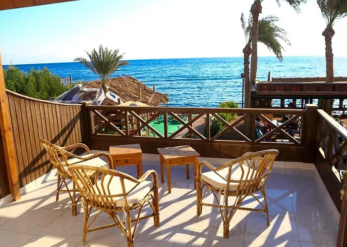Penguin Village Dahab